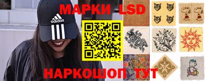 spice Бийск