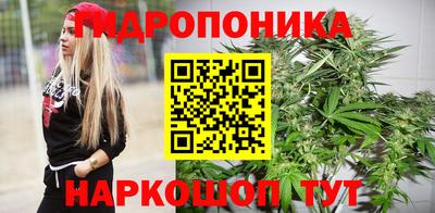 spice Бийск