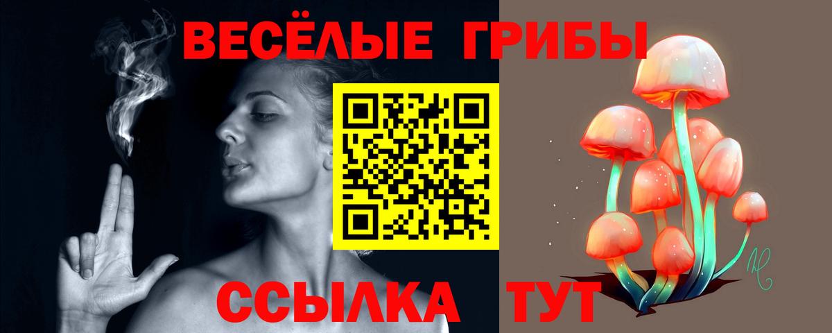 Касимов  Псилоцибиновые грибы Psilocybe  Псилоцибиновые грибы Cubensis  Вход с VPN 